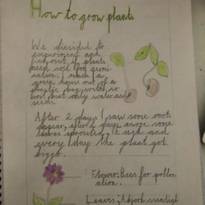 plants 5
